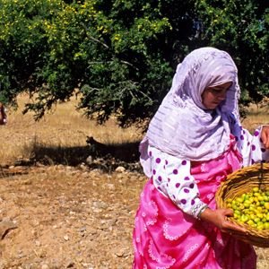 Технология производства